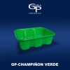 GP-CHAMPINON VERDE4